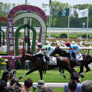メイクデビュー京都　芝1600