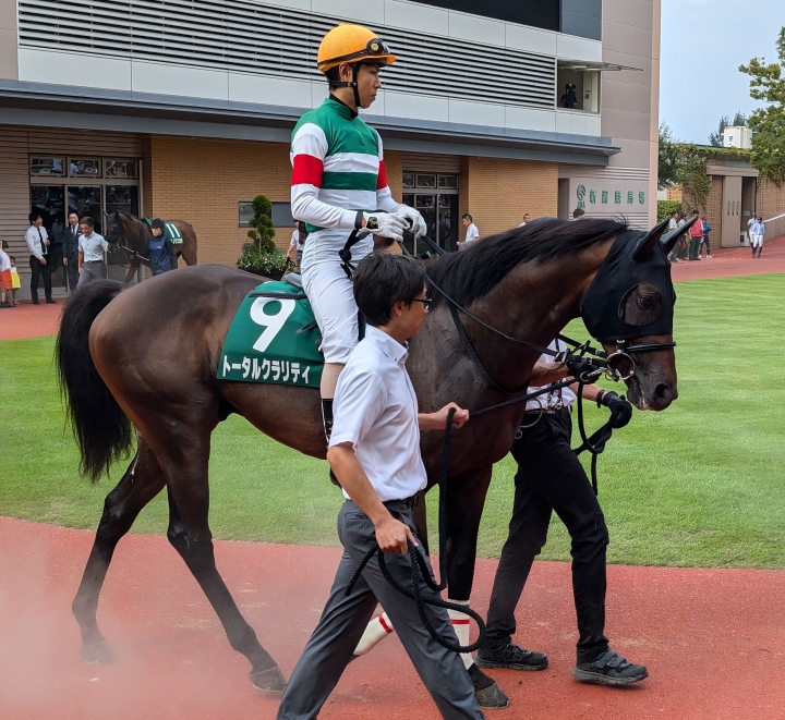 2024年8月 トータルクラリティ