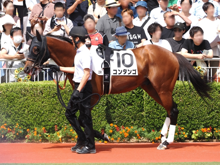 2025/7/20 3歳未勝利 コンタンゴ