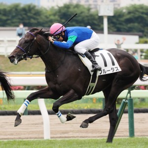 2024/6/30 2歳新馬