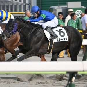 2025/6/28 3歳以上1勝クラス