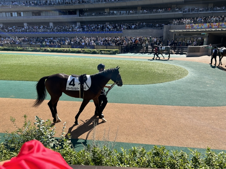 2歳新馬 エターナルシルバー