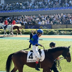 2024/11/3 2歳新馬