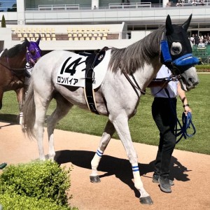 2025/9/7 3歳以上1勝クラス