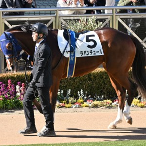 2025/1/13 3歳1勝クラス