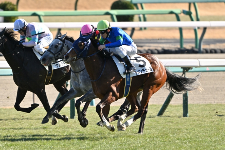 2025/1/13 3歳1勝クラス ラパンチュール