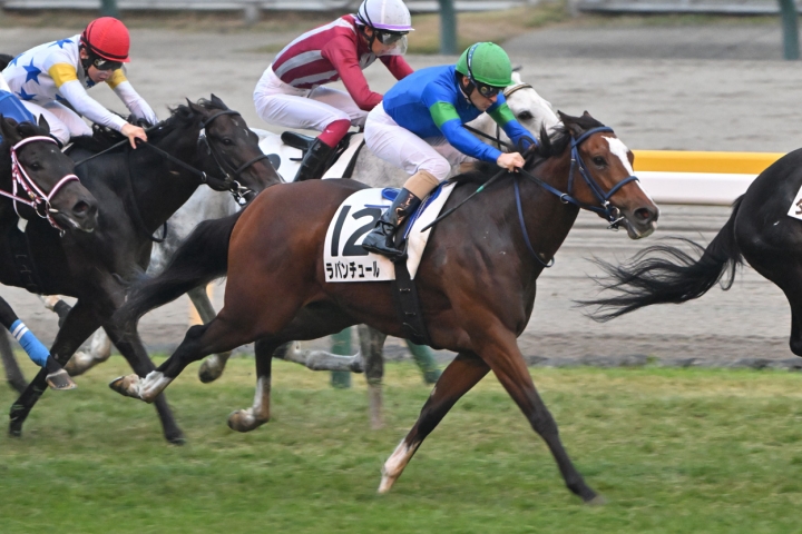 2025/11/9 3歳以上2勝クラス ラパンチュール
