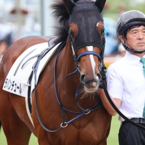 2024/7/6 2歳未勝利