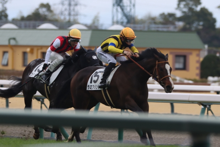 直線 ラミアメンテ