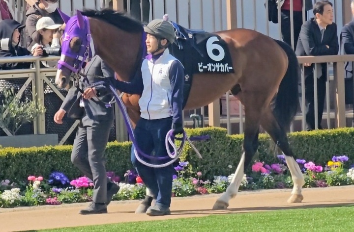 2026/3/21 館山特別(2勝クラス) ビーオンザカバー