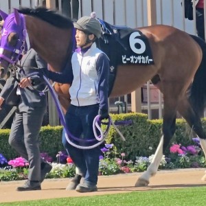 2026/3/21 館山特別(2勝クラス)