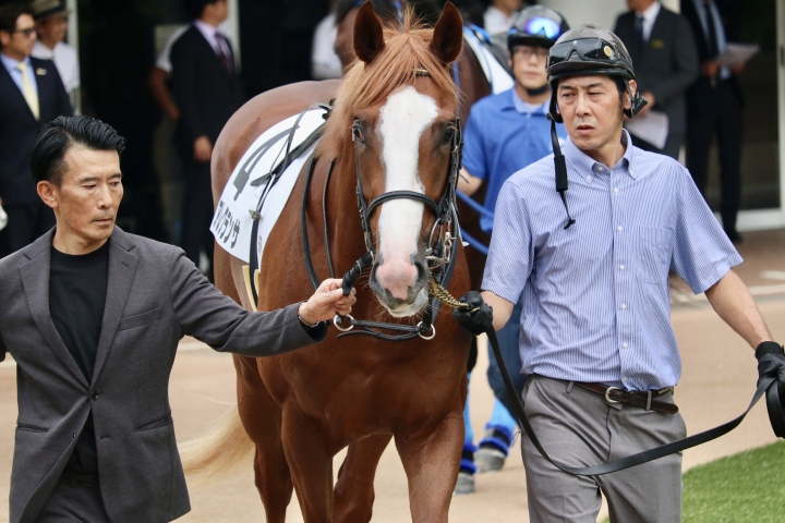 デビュー戦パドック アレグランサ