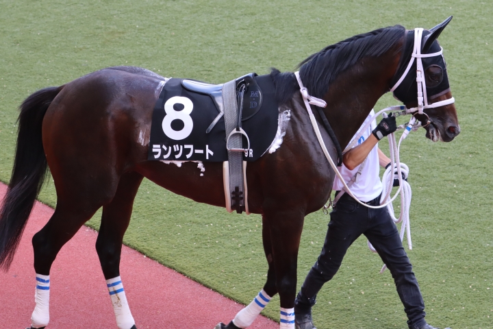 2025年7月 ランツフート