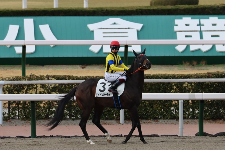 2025年1月 エイヘンハールト