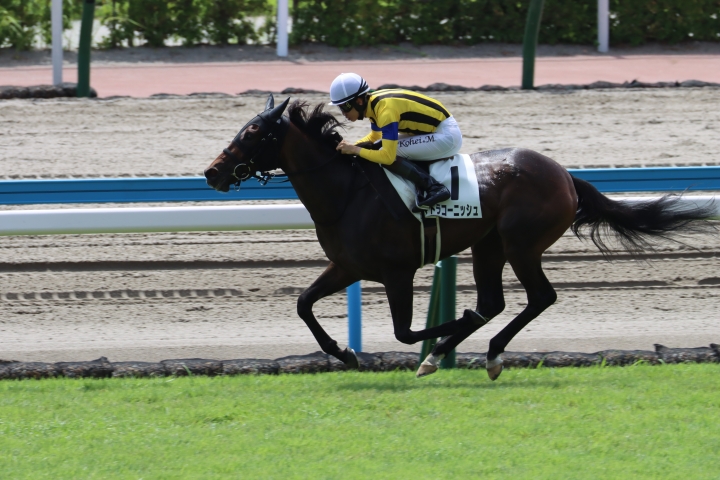 2025年7月 マトラコーニッシュ