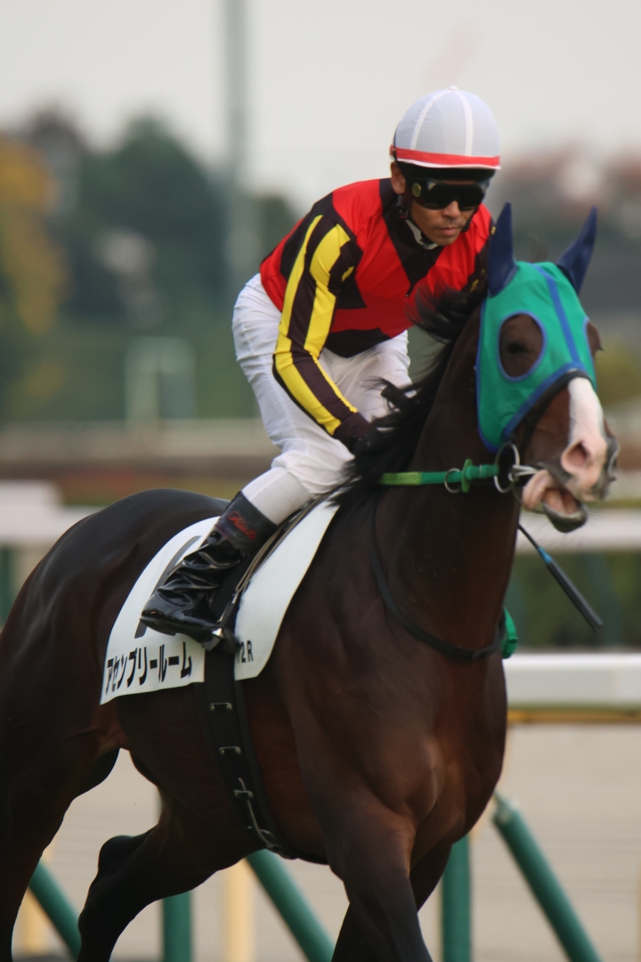 2025/11/8 3歳以上1勝クラス アセンブリールーム