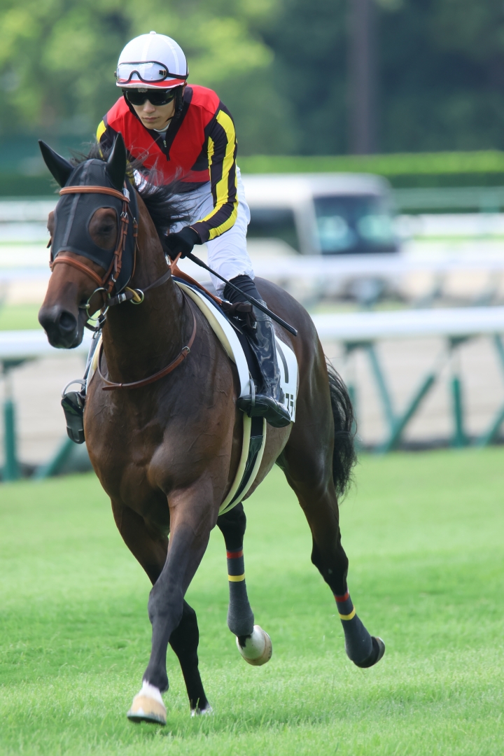 2024/8/18 2歳未勝利 サラコスティ