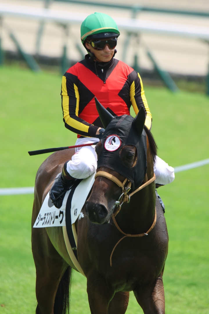 2025/8/17 3歳未勝利 シーラスストリーク
