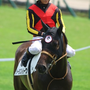 2025/8/17 3歳未勝利