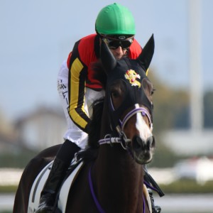 2024/12/21 2歳未勝利