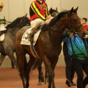 2025/3/16 3歳未勝利