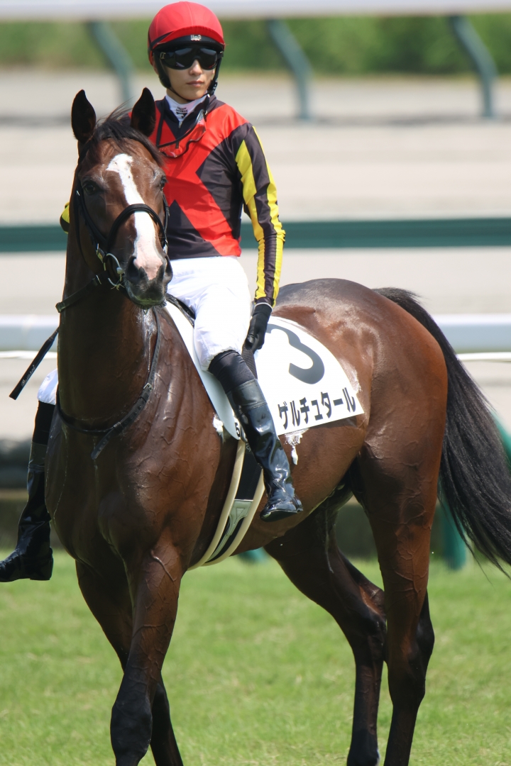 2024年9月 ゲルチュタール