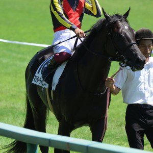 2025/8/31 3歳未勝利