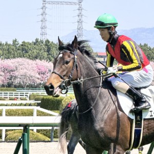2025/4/12 3歳未勝利
