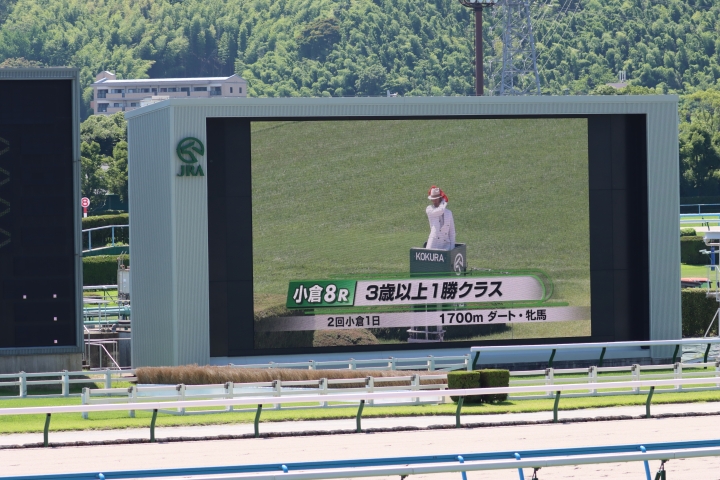2025年6月 ネティフラウ