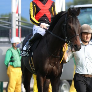 2024/11/10 黄菊賞(1勝クラス)