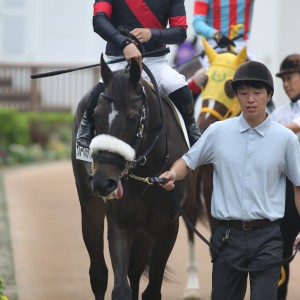 2024/9/29 2歳未勝利
