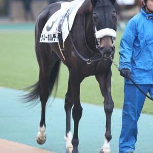 2025/2/2 3歳未勝利