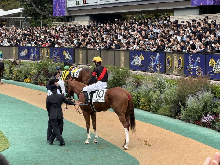 10/26 東京5R芝1600M コムユンプリュム