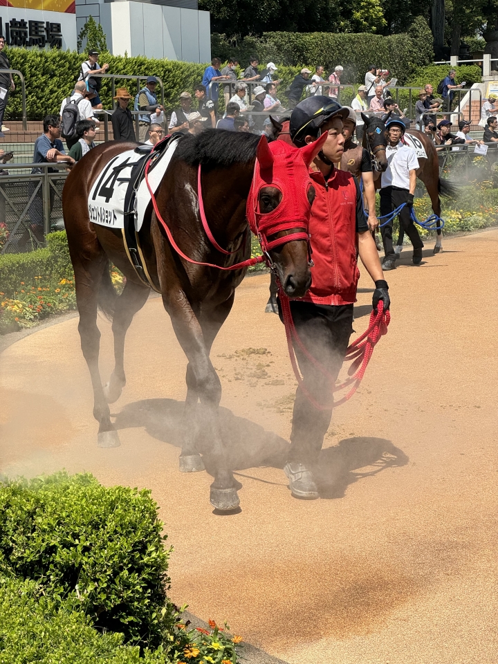 2歳新馬戦 ジェントルショット