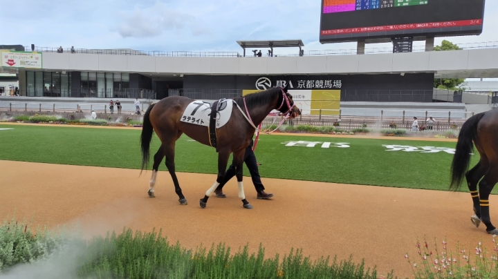 2025/5/18 3歳未勝利(牝) ラテライト