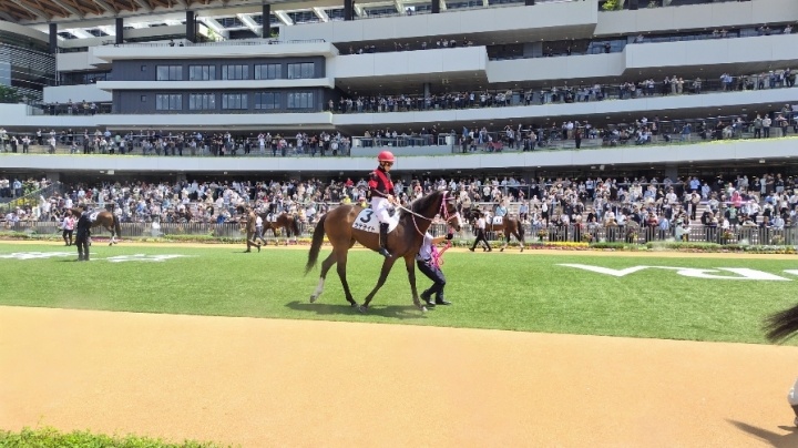 2026/5/2 4歳以上1勝クラス(牝) ラテライト