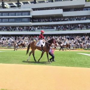 2026/5/2 4歳以上1勝クラス(牝)
