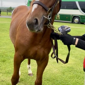 2023年6月16日北海道牧場見学ツアー