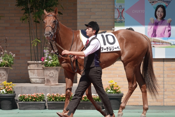 2024/8/10 2歳未勝利 アーデルリーベ