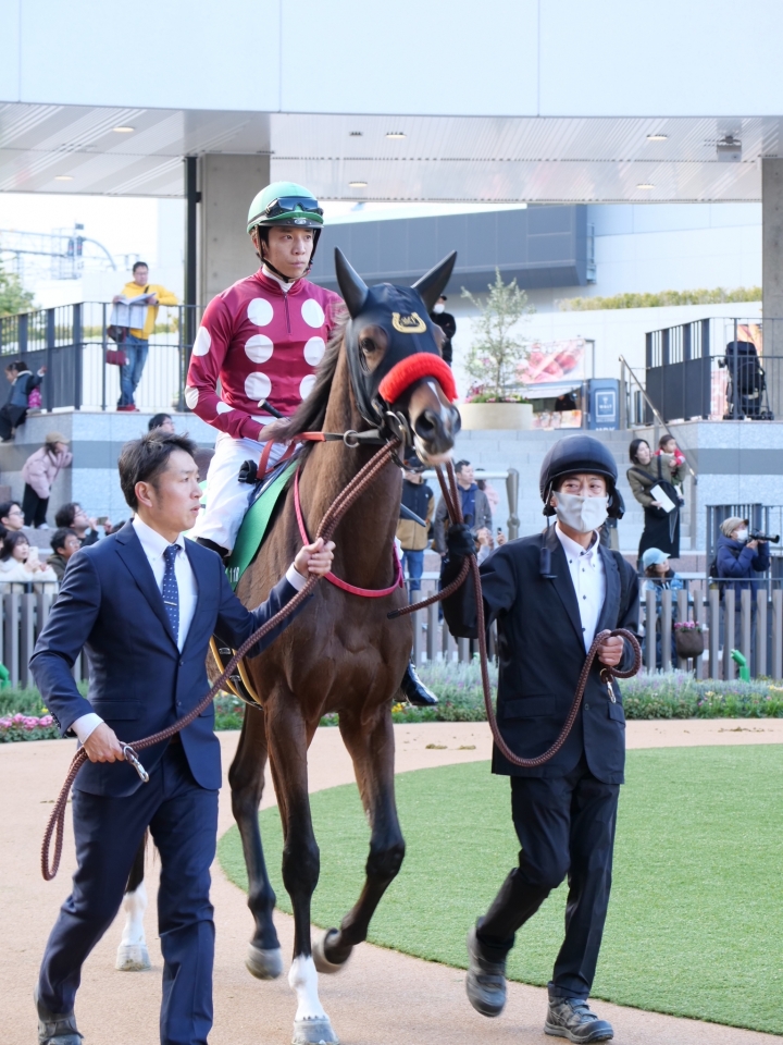 2024/11/23 京都2歳S(G3) ローレルオーブ