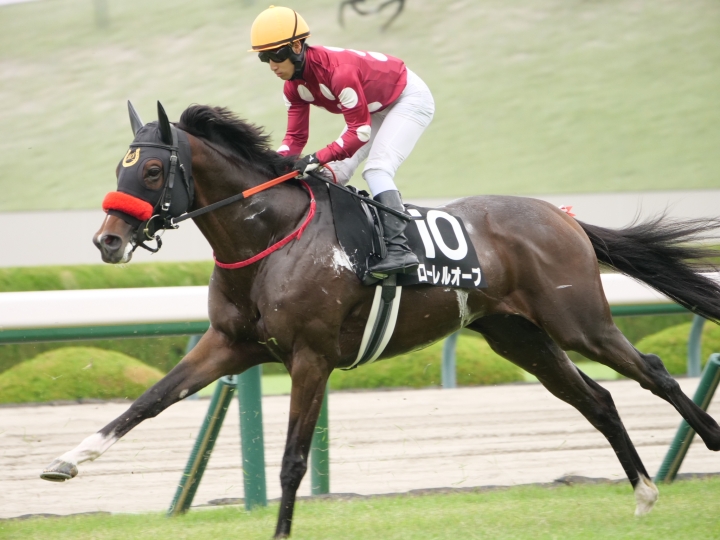 2025年9月 ローレルオーブ