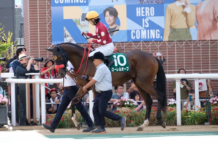 2024/8/31 札幌2歳ステークス ローレルオーブ