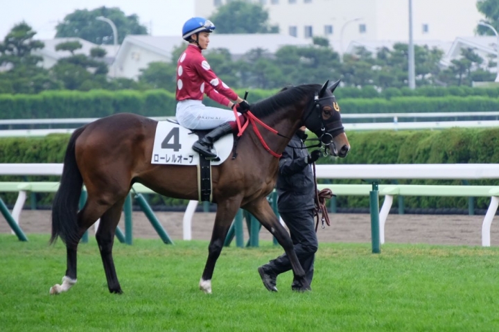 2024/7/7 2歳新馬 ローレルオーブ