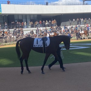 2024/11/30 2歳新馬