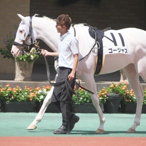 デビュー戦