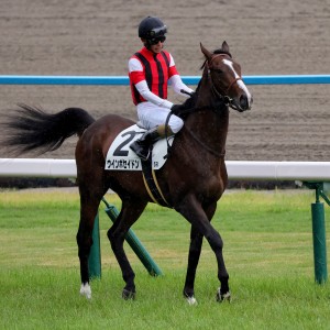 2024/6/23 2歳新馬