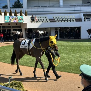 2025/3/9 3歳未勝利(牝)