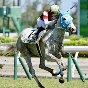 2026/5/2 4歳以上1勝クラス