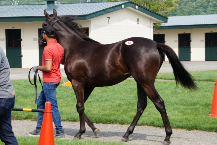 展示会2 リオンプライム