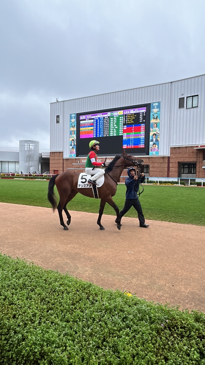 2024/7/7 2歳新馬 アンズアメ